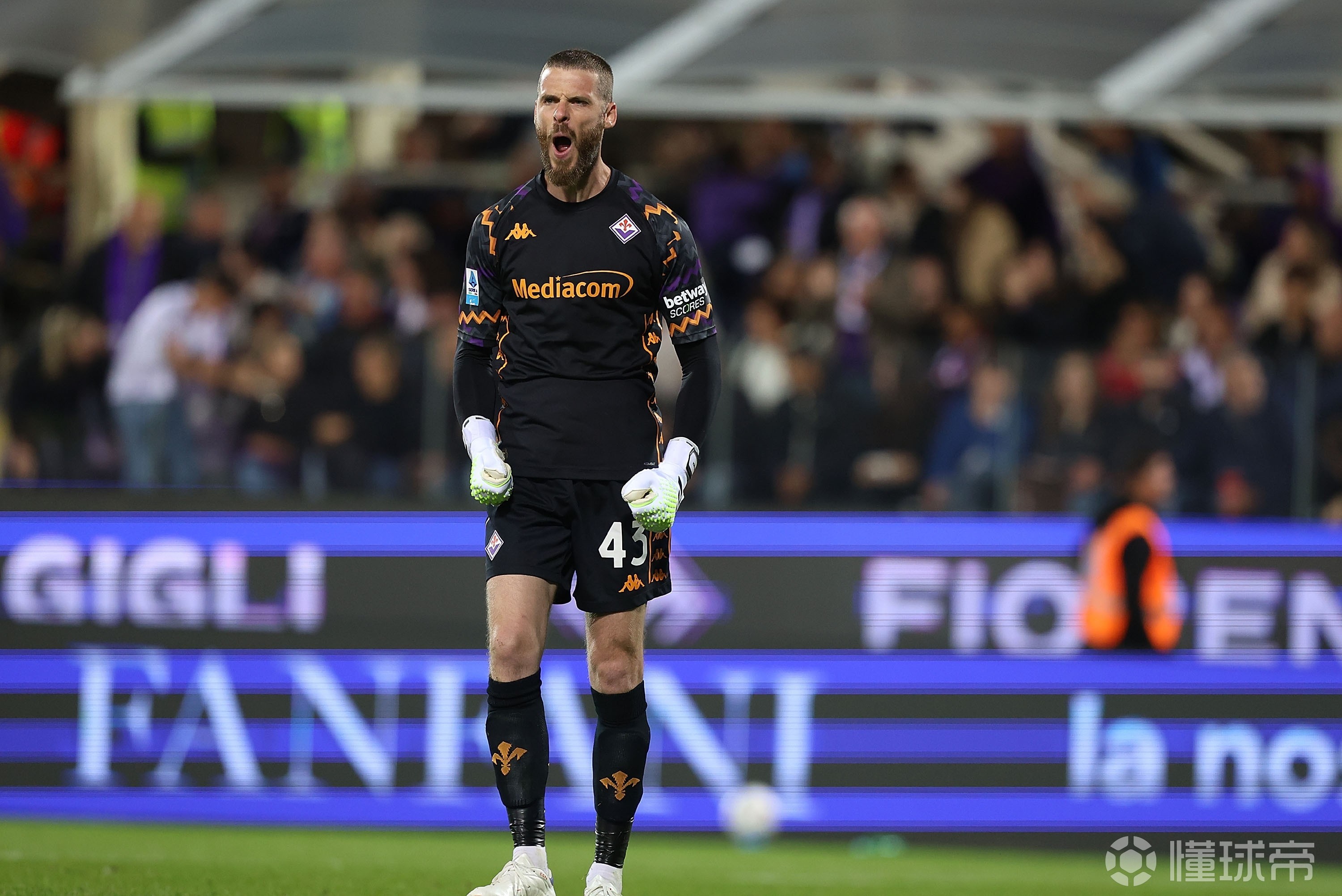 佛罗伦萨门将突发伤病,球队面临严峻考验的简单介绍 佛罗伦萨门将突发伤病,球队面临严峻考验的简单介绍