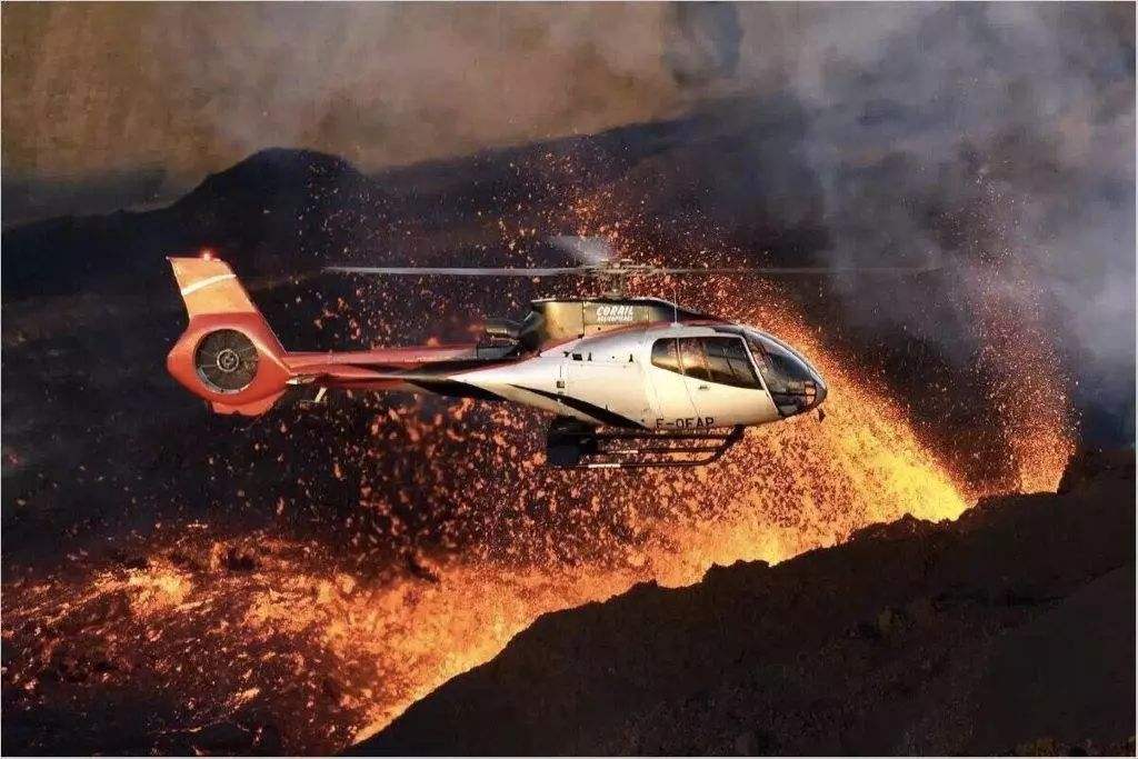 黄蜂大败联月球独蛙演出